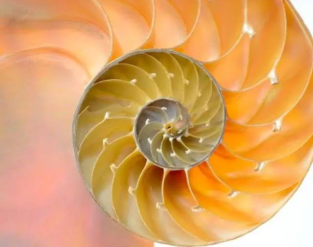 Healing Spiral