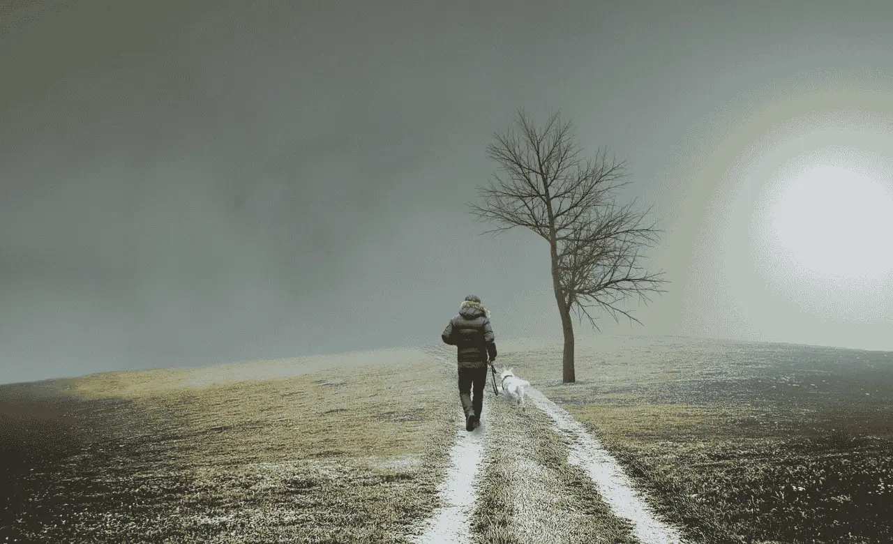 Choosing a Different Path | The Vital Spirit | Laura Rowe | Empath Mentor