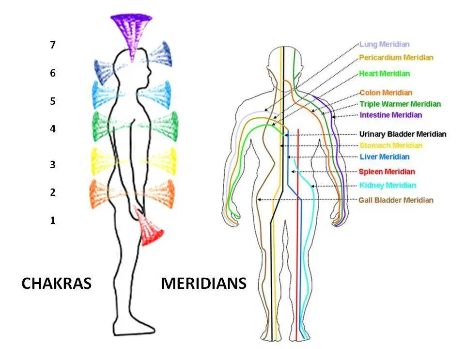 Chakras and Meridians