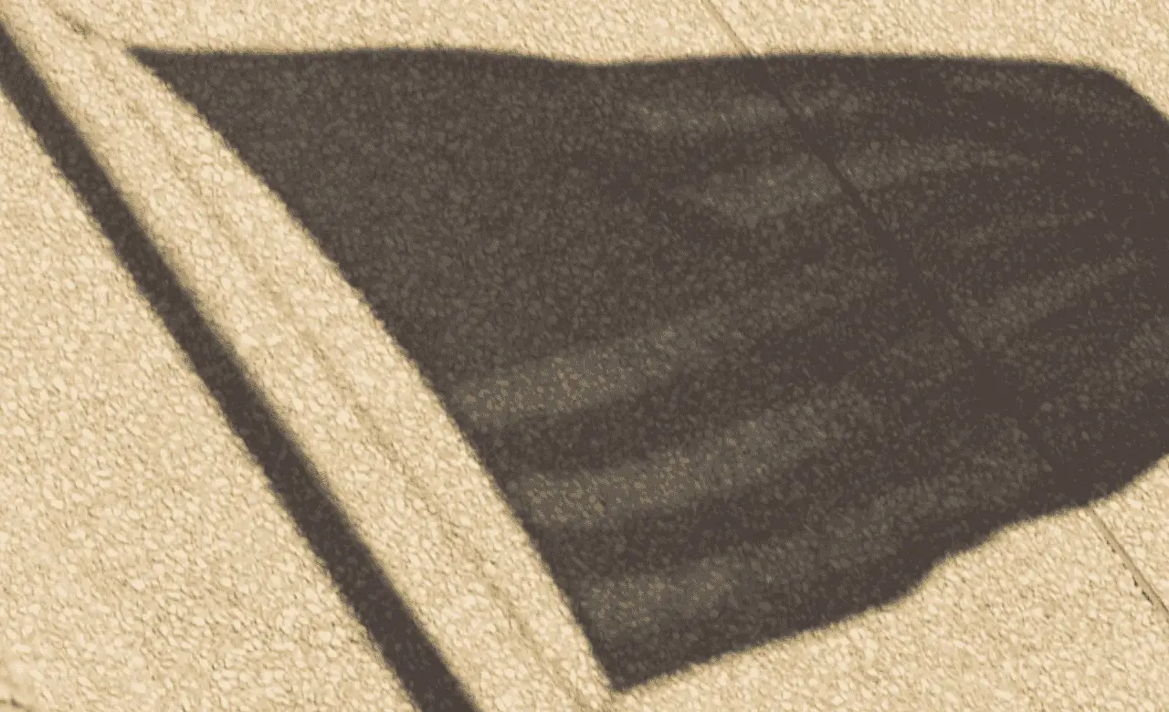 America's Shadow Lives Within Us All | The Vital Spirit | Laura Rowe | Empath Mentor