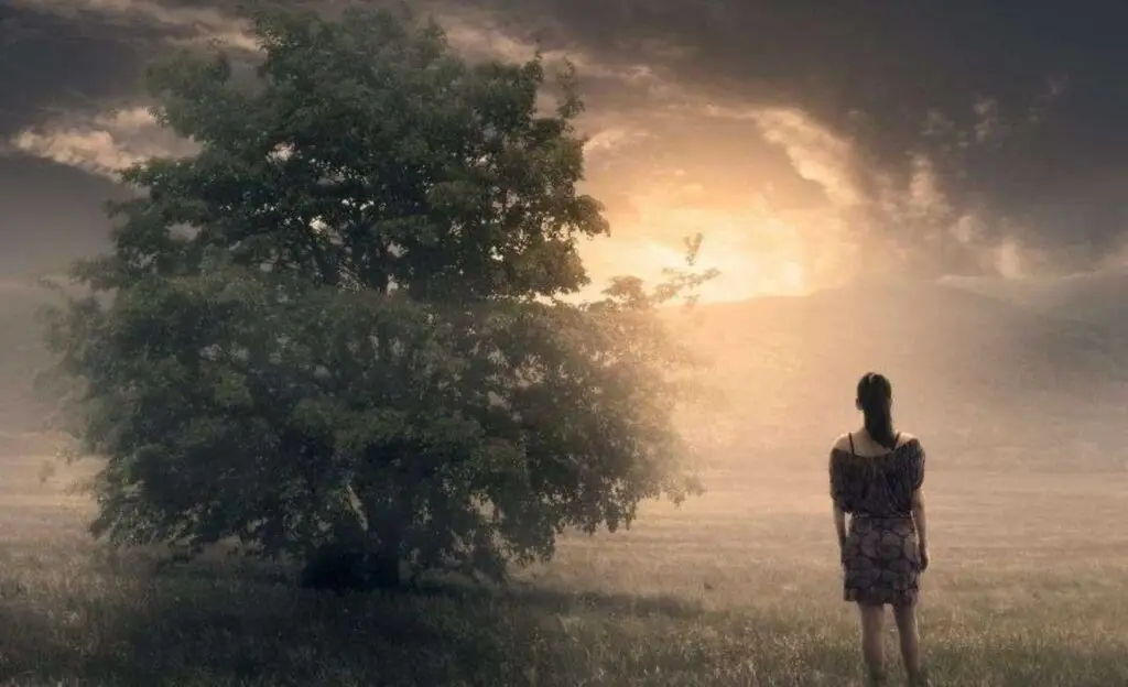Anatomy of A Spiritual Awakening | The Vital Spirit | Laura Rowe | Empath Mentor