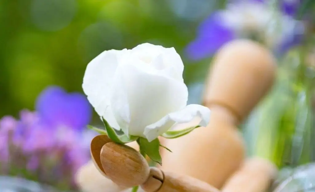 Being in the Body | The Vital Spirit | Laura Rowe | Empath Mentor