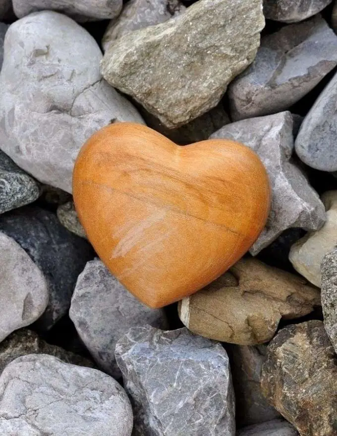Manifesto | "I believe..." | The Vital Spirit | Laura Rowe | Empath Mentor