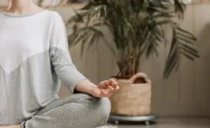 Mindful Revolution | The Vital Spirit | Laura Rowe | Empath Mentor