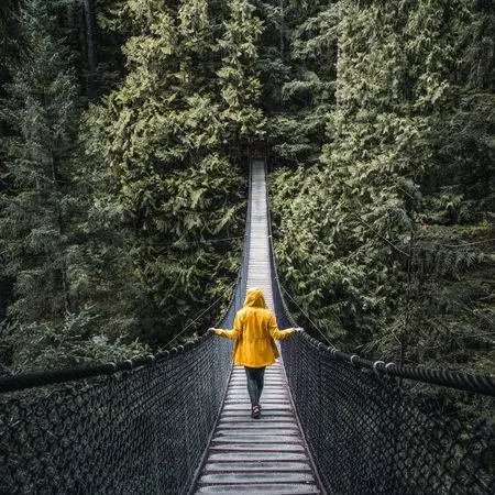 Bridge of Integration | The Vital Spirit | When Empaths Integrate | Laura Rowe | Empath Mentor