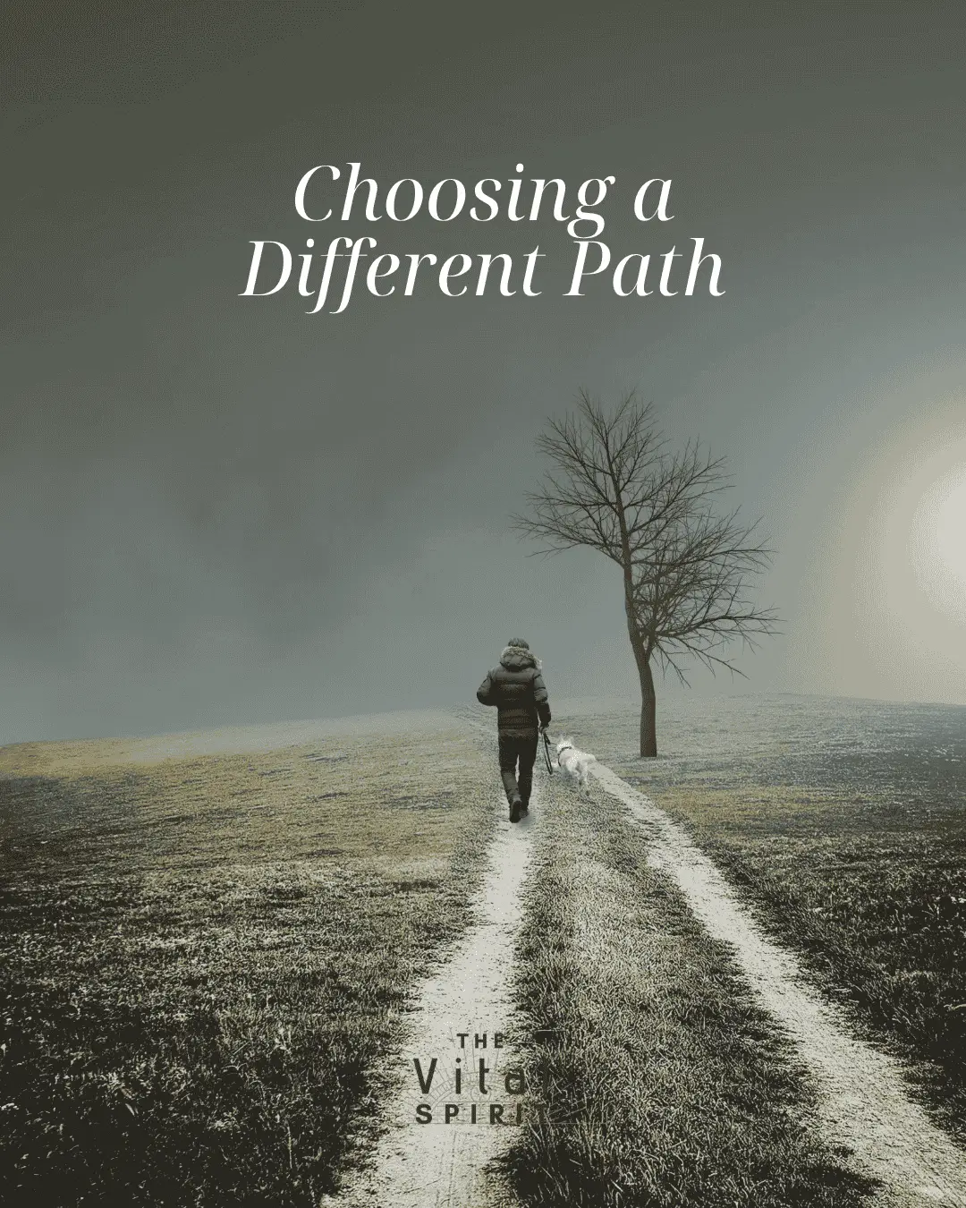 Choosing a Different Path | The Vital Spirit