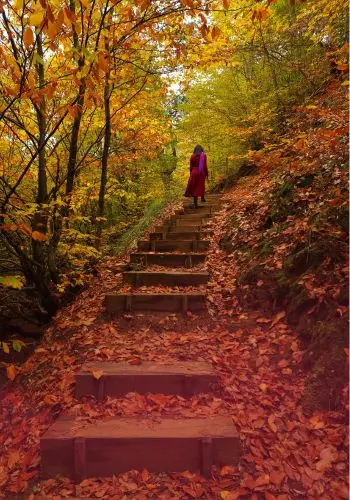 Cultivate a Relationship with the Unknown