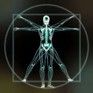 Energetic Anatomy | The Vital Spirit | Laura Rowe | Empath Mentor