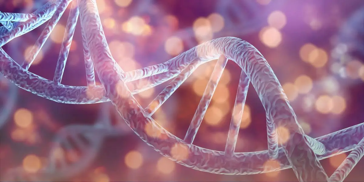 The Biology of Sensitivity | The Vital Spirit | Laura Rowe | Empath Mentor
