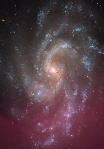 The Universe is a Spiral | The Vital Spirit | Laura Rowe | Empath Mentor