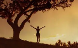 The Sovereign Empath | The Vital Spirit | Laura Rowe | Empath Mentor