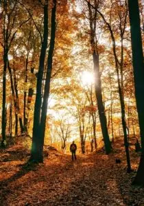The Sovereign Exhale | The Vital Spirit | Laura Rowe | Empath Mentor
